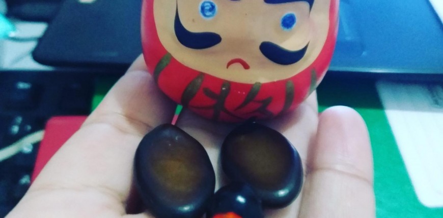 Daruma para a vida