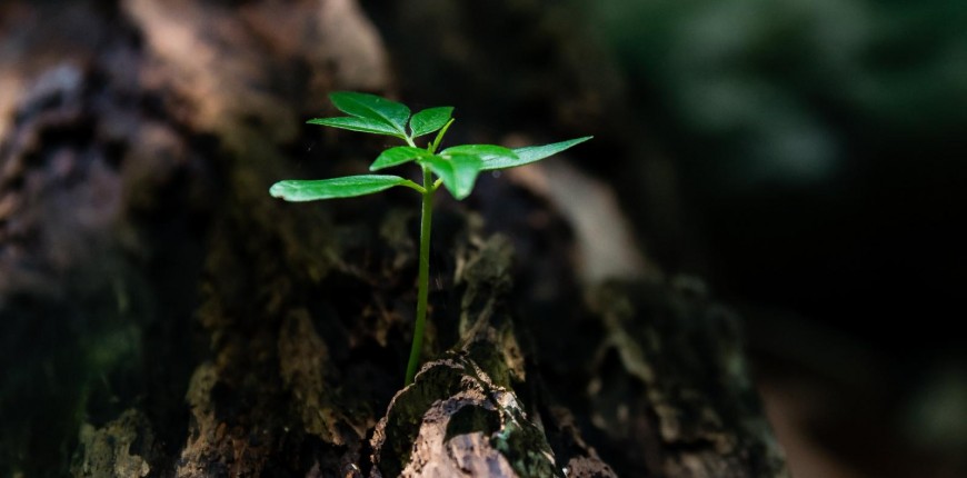 Projeto de Meio Ambiente